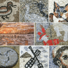 Universidade Do Mosaico