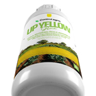 UP YELLOW GLUE - FRASCO 1L