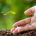 Ureia 5kg Agricola Purebasic 46%