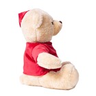 URSO NATALINO COM CAMISA HOHOHO 24CM