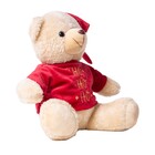 URSO NATALINO COM CAMISA HOHOHO 24CM