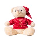 URSO NATALINO COM CAMISA HOHOHO 24CM