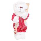 Urso Segurando Ski Vrm/bco 1un 35x17x12cm 1921559