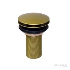 Válvula Click Pop Up Lavatório 7/8 Com Tampa Externa Dourado