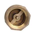 Válvula De Retenção 1/2 Latão Forjado Vertical Horizontal Ivm