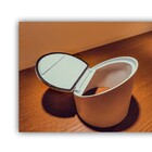 Válvula De Retenção Anti-rato Para Canos Pvc 3''