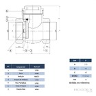 Válvula De Retenção Horizontal 1 Pol Com Portinhola De Latão