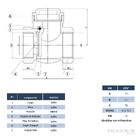 Válvula De Retenção Horizontal 2.1/2 Pol Com Portinhola De La