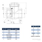 Válvula De Retenção Horizontal 2 Pol Com Portinhola De Latão