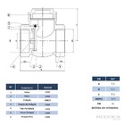 Válvula De Retenção Horizontal 3/4 Pol Com Portinhola De Latã
