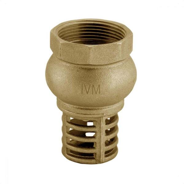 Válvula De Retenção Sucção 3/4 Filtro Em Latão Ivm Italy