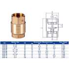 Válvula De Retenção Universal Genebre Em Latão 3/4 Polegada B