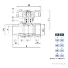 Válvula Esfera 1/4 Passagem Plena Macho X Fêmea Latão Forjado