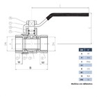 Válvula Esfera 4 Passagem Plena 4 Fêmea X Fêmea Latão Forjado