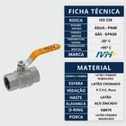 Válvula Esfera Fêmea X Fêmea 2 Para Gás Passagem Plena Alavan