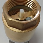 Válvula Fundo De Poço Com Tela Inox 1.1/4 Pol  Emmeti