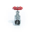 Válvula Globo Aço Inox 316 Rosca Bsp Ø1/2