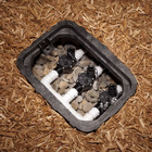 Válvula para Irrigação 1" Rain Bird