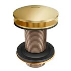 Válvula Para Lavatório Docol Universal 922443 Ouro Polido