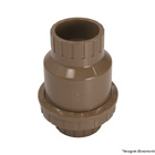 Valvula Retencao Sold Pvc Higiban 50mm