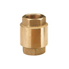 Válvula Retenção Vertical 203 2"-Wog