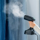 Vaporizador Portátil Passadeira A Vapor Reservatório 240ml Gc