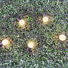 Varal De Luzes Led 10m Externo Com Lâmpadas Gambiarra Cordão