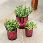 Vasinho Rosa Lumen Barbera 7 Cm