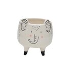 Vasinhos Decorativos Cachepot Cute - Animais Fofinhos Porco