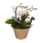 Vaso Alumínio com Alça Rose 12x16cm SJ do Brasil