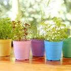 Vaso Aquarela 3,5 (1,7l) Cor Cerâmica Nutriplan