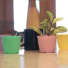 Vaso Aquarela 3,5 (1,7l) Preto Nutriplan