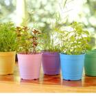 Vaso Aquarela C/prato N 2,5 Nutriplan Lilás Claro