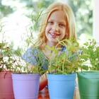 Vaso Aquarela C/prato N 2,5 Nutriplan Lilás Claro