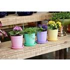 Vaso Aquarela N 3,5 Com Prato Nutriplan Cor Amarelo Claro