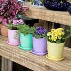 Vaso Aquarela N 3,5 Com Prato Nutriplan Cor Rosa Bebe