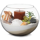 Vaso Aquario De Vidro Vaso Redondo 4,5 L