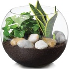 Vaso Aquario Redondo Gigante 9,8 L Decoração Em Vidro