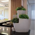 Vaso Auto Irrigável Jardim De Temperos Vida Jardim Temperos D