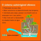 Vaso Auto Irrigável Jardim De Temperos Vida Jardim Temperos D