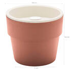 Vaso Auto Irrigável M Horta Vasos Para Plantas Tempero Flores