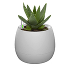 Vaso Auto Irrigável Mini Cinza - Botanika