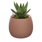 Vaso Auto Irrigável Mini Terra - Botanika