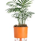 Vaso Auto Irrigável N 02 - Pequeno - Raiz Laranja
