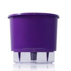 Vaso Auto Irrigável N 02 - Pequeno - Raiz Roxo