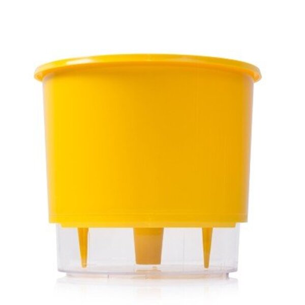 Vaso Auto Irrigável N 03 - Médio - Raiz Amarelo
