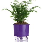 Vaso Auto Irrigável N 03 - Médio - Raiz Roxo