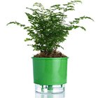 Vaso Auto Irrigável N 03 - Médio - Raiz Verde Escuro