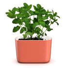 Vaso Auto Irrigável Pequeno Botanika Cor Coral