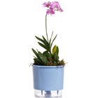 Vaso Auto-Irrigável Raiz - Médio - Liso - Azul Serenity